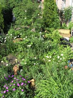 Garten bei AlbinZ im Mai 2007